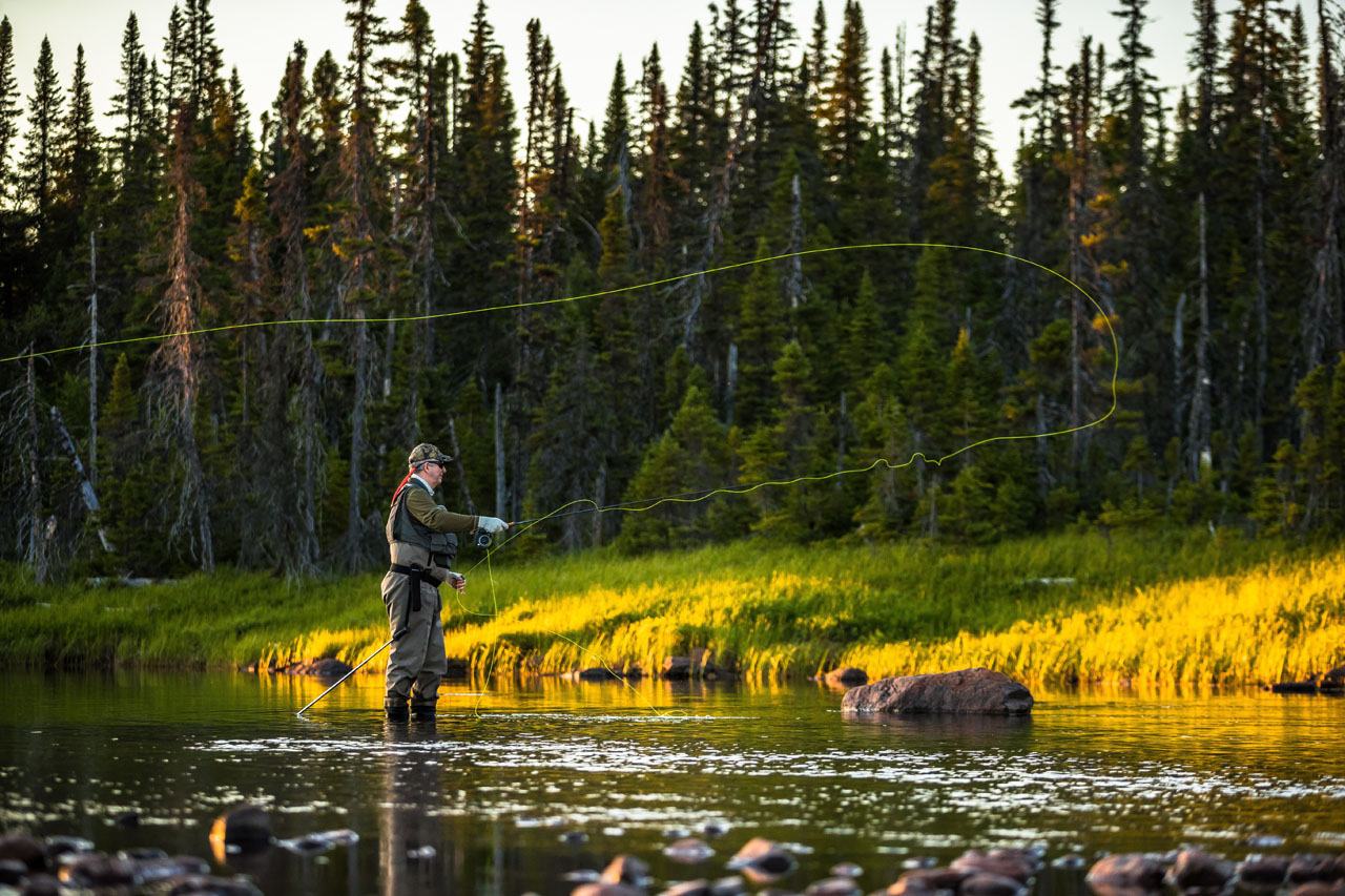 An angler stands in a shallow river casting a fly line, with spruce forest and a patch of bright yellow grass behind.