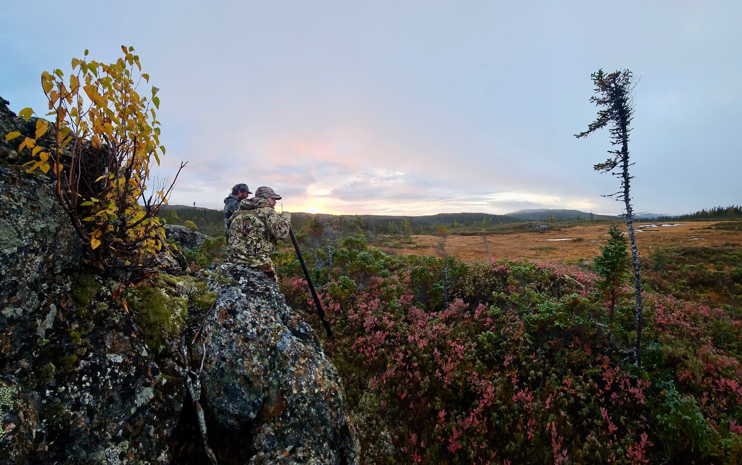 At dusk a hunter stands silhouetted on a lichen-covered boulder above autumn berry bushes, under a pink sky.
