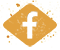footer-social-fb