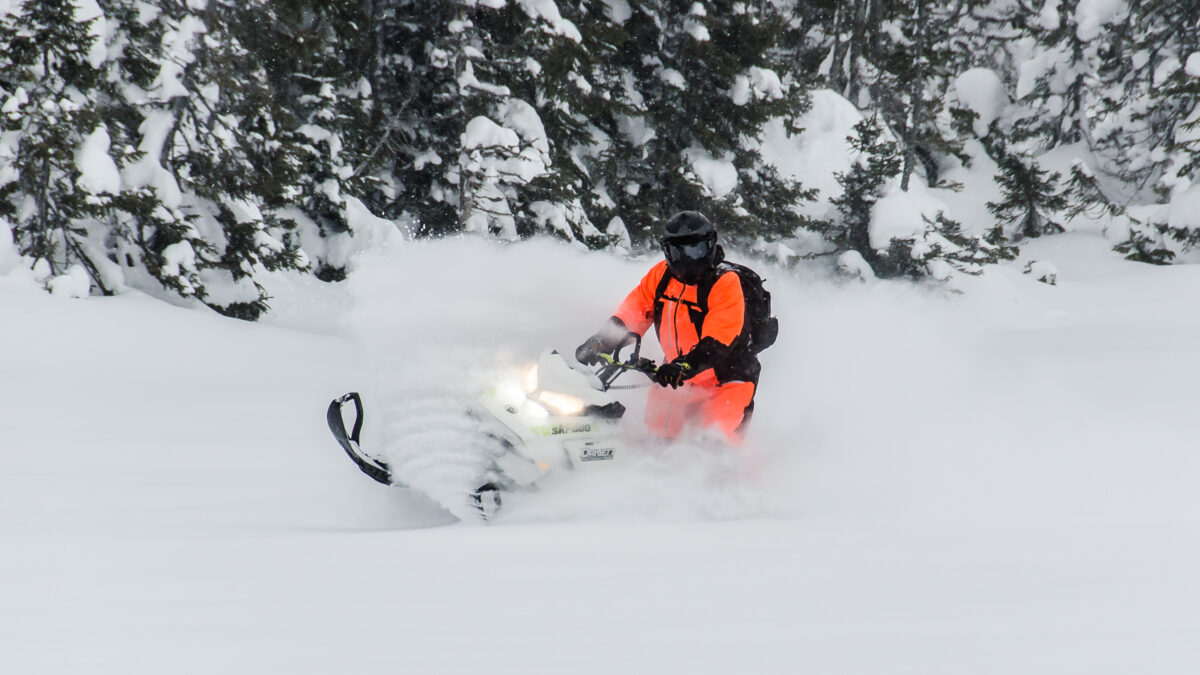 Arluk Adventures - winter fun