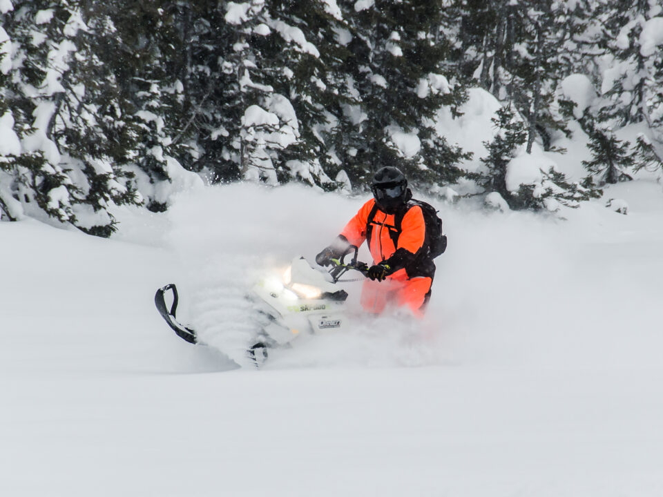 Arluk Adventures - winter fun