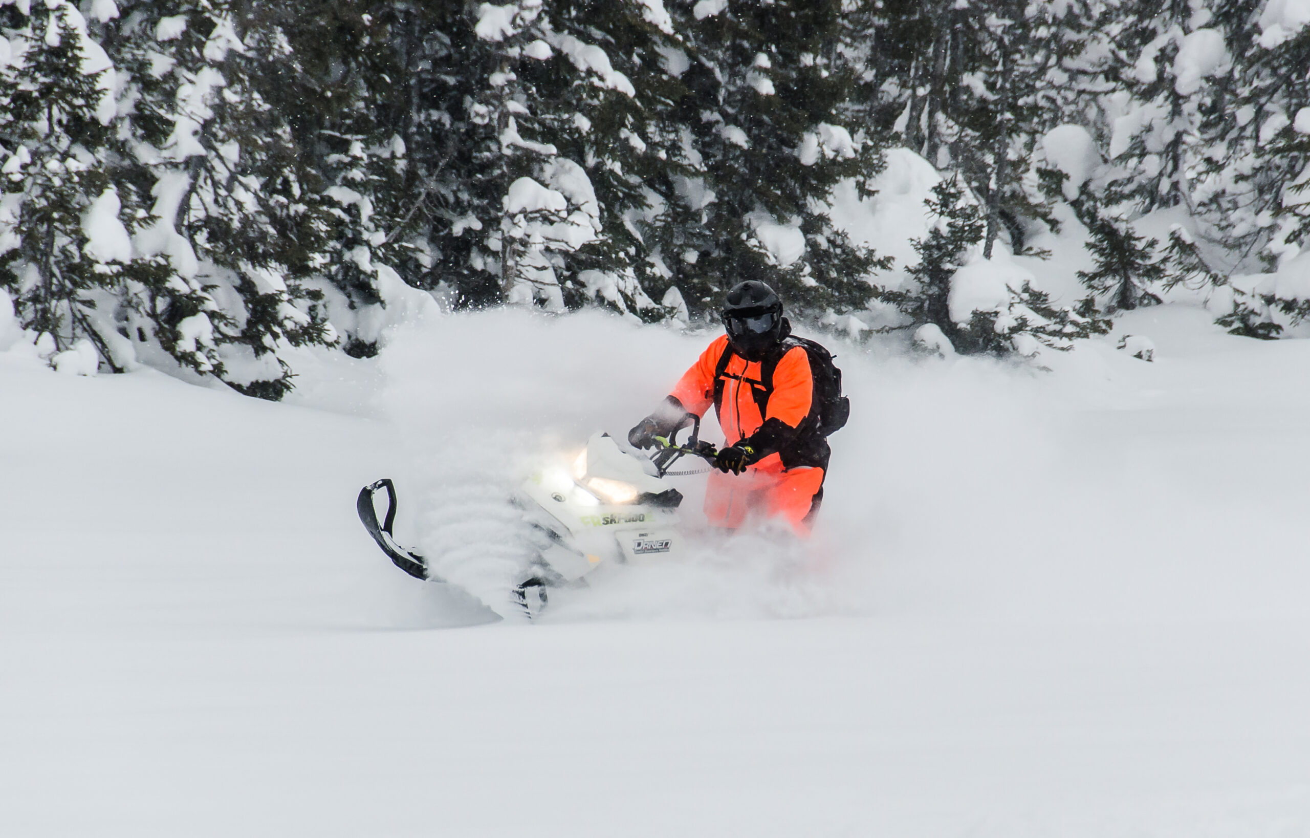 Arluk Adventures - winter fun