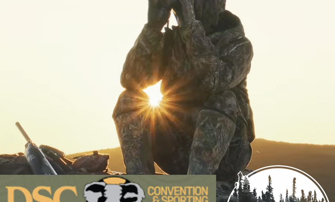 Newfoundland Moose Hunt