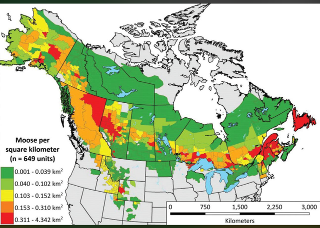Newfoundland Moose Density.